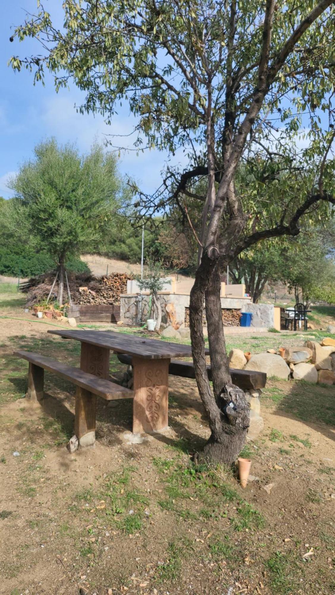 וילסימיוס Paraiso S חדר תמונה